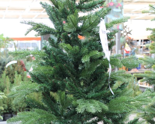 Kunstkerstboom - Roden