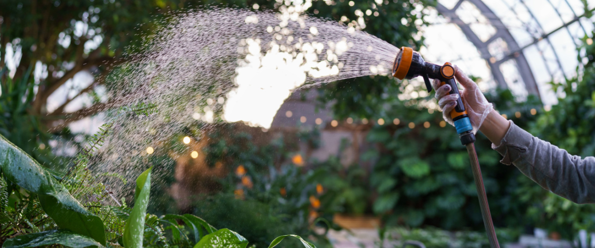 Advies van tuinexperts bij Tuincentrum Roden