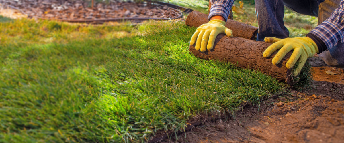 Gazon aanleggen - graszoden - Tuincentrum Roden