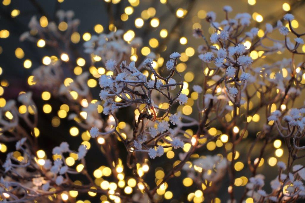 Kerstversiering - Roden