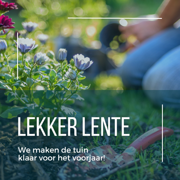 lente, snoeien, moetsuin, gazon, zomerbollen