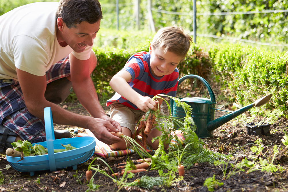 Vader en zoon planten wortelen