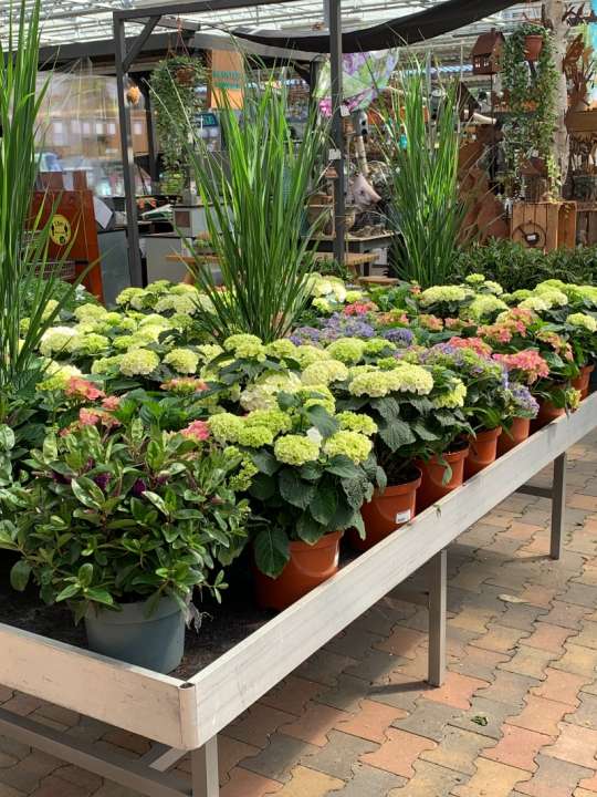 Tuincentrum Roden