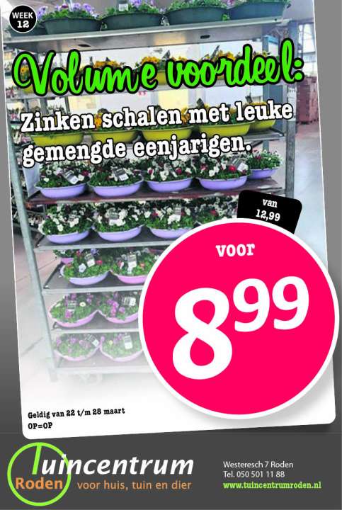 Aanbieding zinken schalen met eenjarige planten