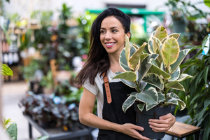 🌿 Weekendhulp gezocht bij Tuincentrum Roden 🌿