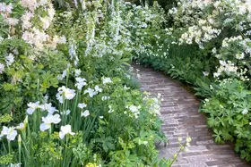 Dit is waarom je een witte tuin wilt