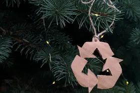Doen! Kerstboom en kerstgroen recyclen