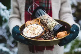 Huis- en tuindiertips tijdens koude winterdagen 