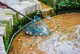 Onderhoudstips voor de vijver tijdens de zomer