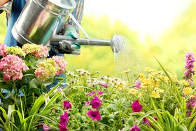Vijf tips voor het bewateren van de tuin