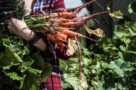 Wat kan ik planten in de moestuin van april tot juni?